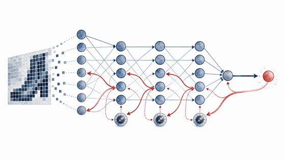 Forward values and reverse sensitivity paths through a network.